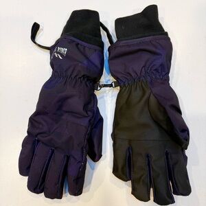 Purple Ridge Men's Winter Gloves